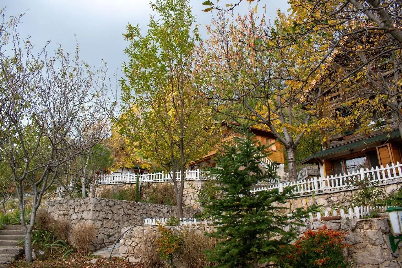 فندق Dajti Paradise Resort