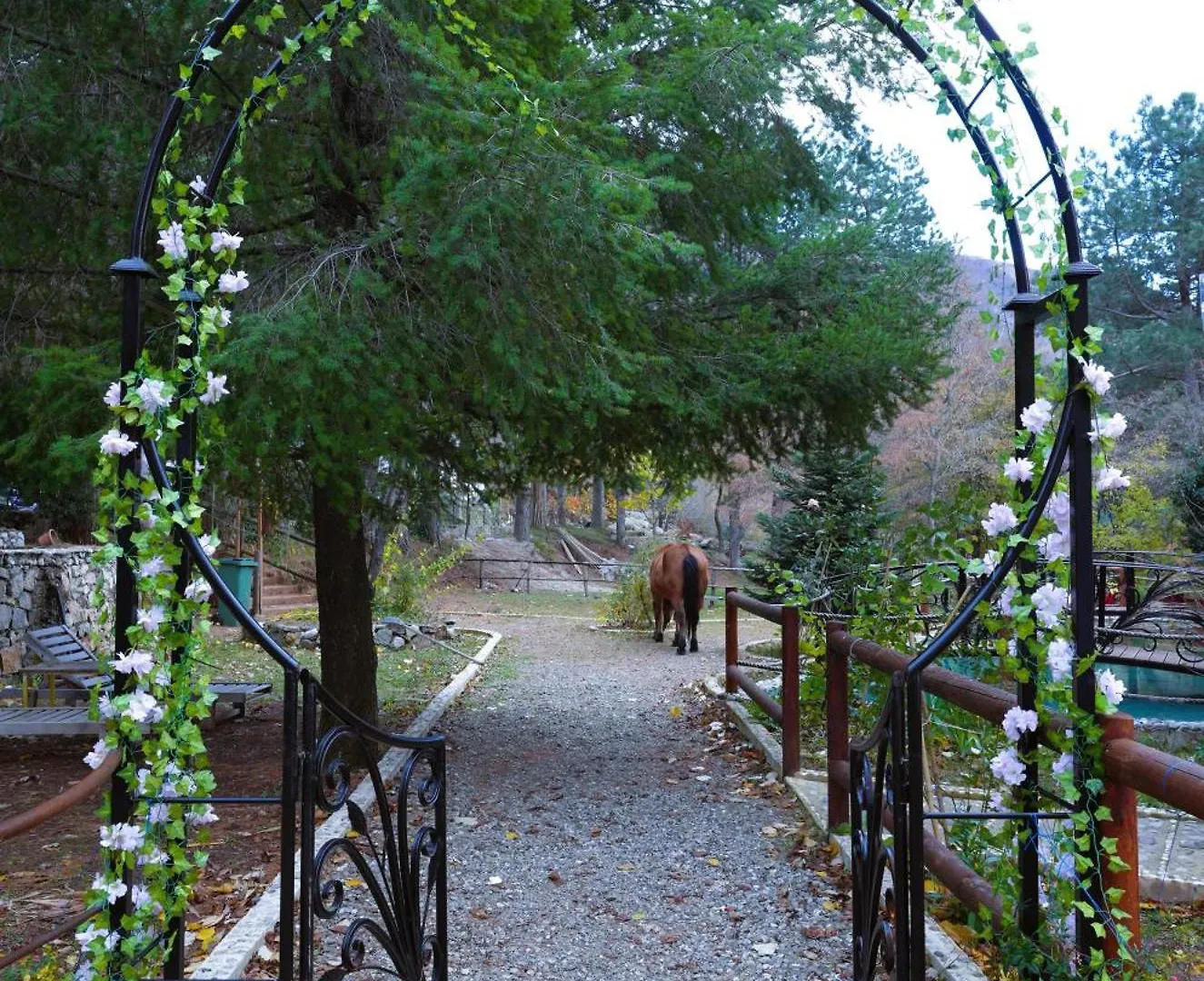 Dajti Paradise Resort فندق
